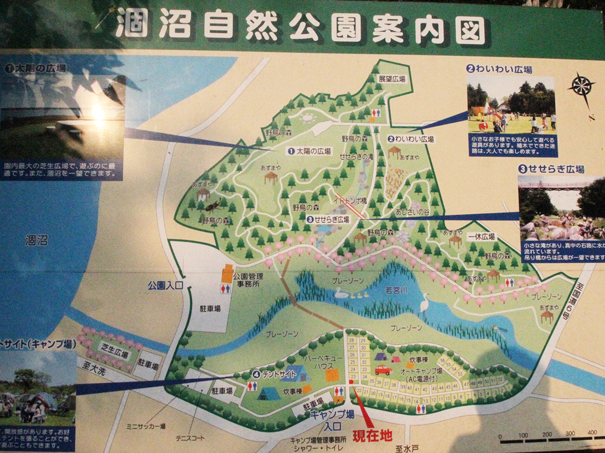 涸沼自然公園オートキャンプ場サイトマップ