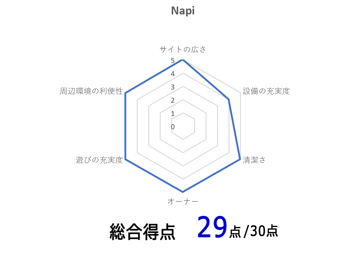 オートキャンピングベースNAPiのレーダーチャートの写真
